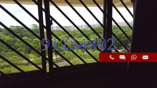 Jurong East Avenue 1 thumbnail photo